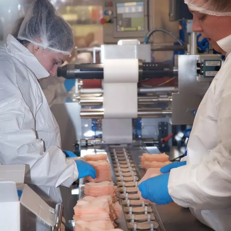 process of medicated wound dressings